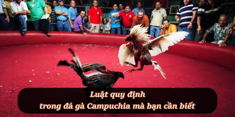 Các quy định quan trọng để cược thủ không bị bỡ ngỡ